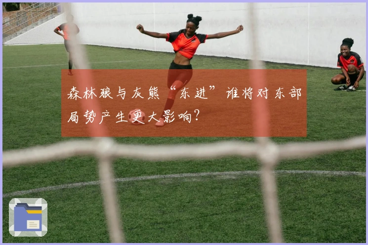 森林狼与灰熊“东进”谁将对东部局势产生更大影响？