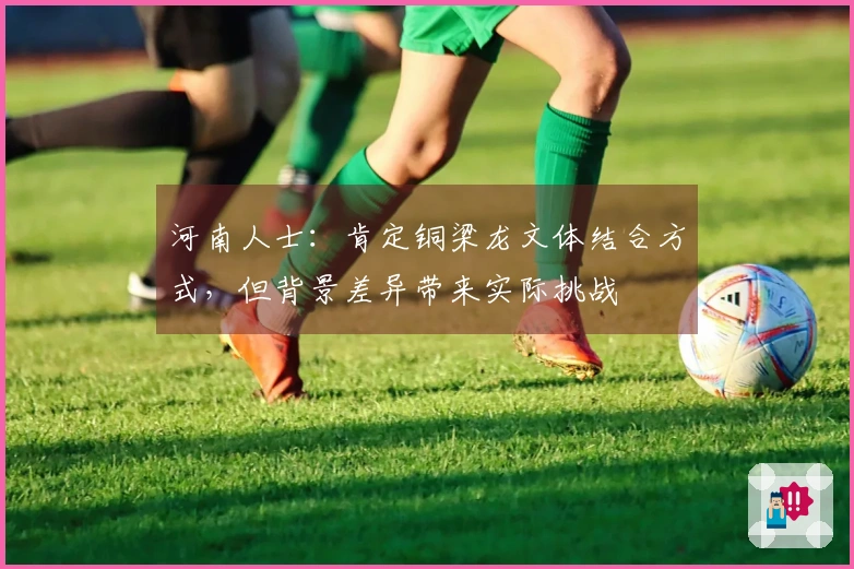 河南人士：肯定铜梁龙文体结合方式，但背景差异带来实际挑战