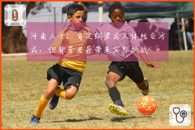 河南人士：肯定铜梁龙文体结合方式，但背景差异带来实际挑战